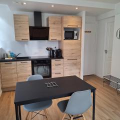 Notre Dame 1 - Vue sur la Loire - Rdc - Hypercentre