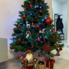 Apartament Ovy Residence Râșnov