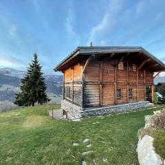 Chalet de caractère pour 12 pers, 165m², 5 chambres, cheminée, hammam, babyfoot, proche des Saisies. - FR-1-733-76