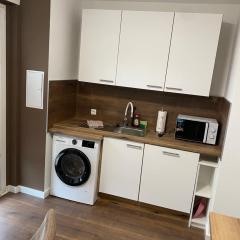 FeWo Wieko Plauen H1 3 OG links Family Appartement XL