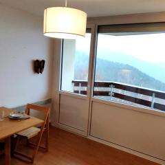 Studio cabine calme aux Adrets-Prapoutel, 4 pers, à 350 m de l'ESF - FR-1-771-67