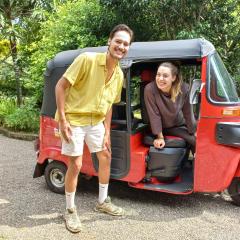 Green Garden Safari Paradise