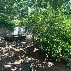 THE REAL CARTLEDGE AVE HOUSE ACCOMODATION, Whyalla