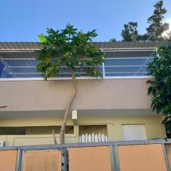 Oasis 3