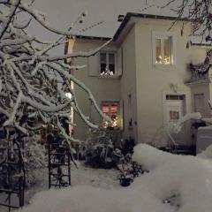 Gîte avec parking, au calme, entre Colmar-Riquewihr et Obernai ,marchés de Noël, 3 chambres, avec terrasse