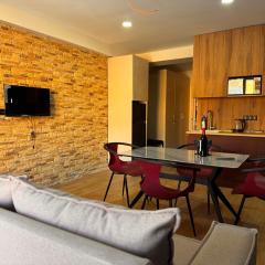 Luxury apartment with bedroom, new gudauri