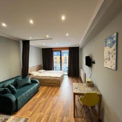 Cozy apartment in NEW GUDAURI Block F2