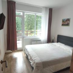 Sun Stream Apartment