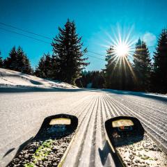 Panorama View-Stoykite