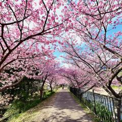 河津ログハウス