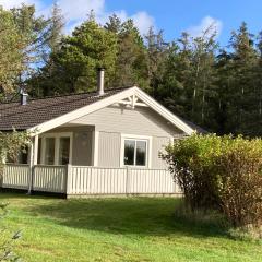 Stunning Home In Løkken With 3 Bedrooms And Wifi