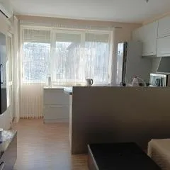 Apartment Andri