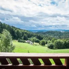 Kocurzonka Apartamenty