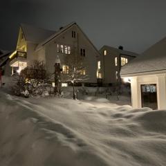 Central Apartment in Down Town Aurora villa