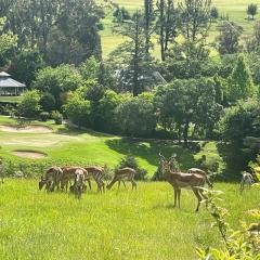 Precious, Peaceful 3bedroom, 6 sleeper family home!