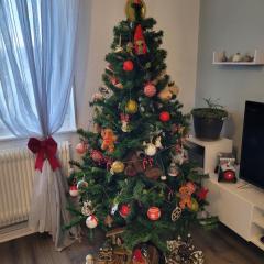 Appartement Au Cigogneau Wifi-Netflix-Balcon-Parking