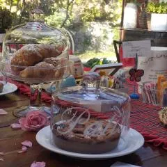 Petalo Rosso b&b