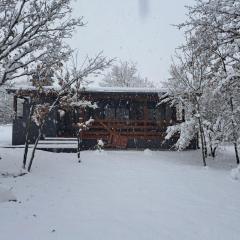 De Luxe mobilna kuća Kijani, 44m2