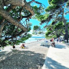 Beachview Apartments Podstrana