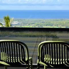 Aloes - Villa Salba. Panoramic view.