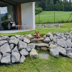 Apartament Otulina