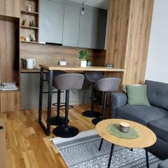 Apartment A1 1 Aparthotel Vucko Private host