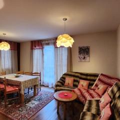 Grand appartement entre pistes à La Chapelle d'Abondance avec balcon et parking - FR-1-692-108