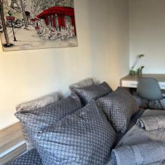 Apartament Wieluńska