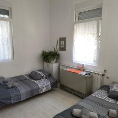 Apartman - kuca za odmor Slatina