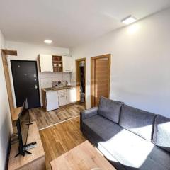 Srebrena Vila apartman 1 Jahorina