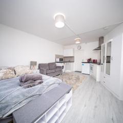 Charming Apartment, 15 min walk to Twickenham Stadium