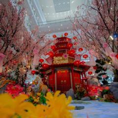 Stanford Suites 2 at EduSentral