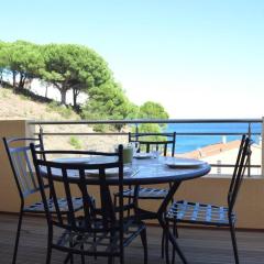 Appart 3 pièces 4 couchages BANYULS SUR MER BN150-B11