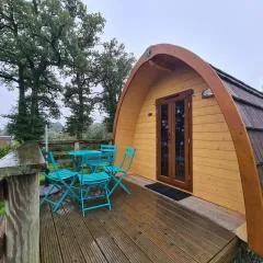 Cabane forestière près base nautique avec terrasse et parking - FR-1-591-647