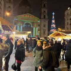 Cathedral central rezidence