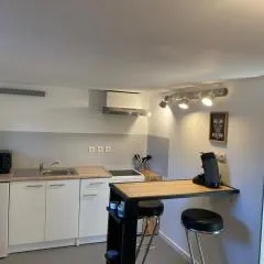 Appartement 2 pièces Poncin