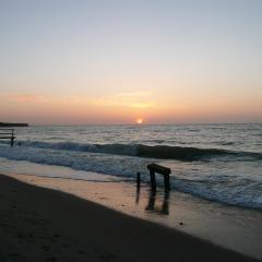 Steinwarder 35-37 SC6 012 Steinwarder 35-37