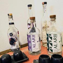 Monte Alban y Mezcal
