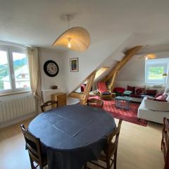 Appartement lumineux Villard-de-Lans 2 chambres, ascenseur, centre-ville - FR-1-737-93