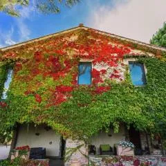 Farmhouse in Marsciano with vineyards olive groves