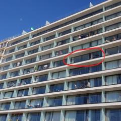 Apartment in Blankenberge with Sea View