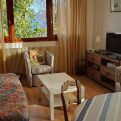 Charmant appartement proche du lac avec Wi-Fi et parking à Évian-les-Bains - FR-1-498-96
