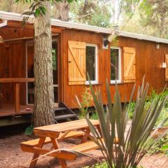 Cabaña Junco