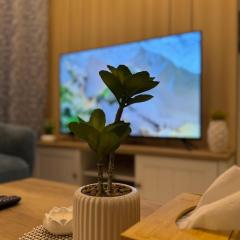 شقة فاخرة غرفتين نوم وصالة