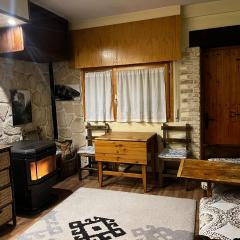 Apartamento Selva Blanca 9