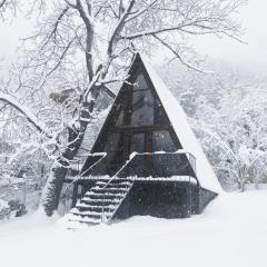 Wonderwood Borjomi Cottage
