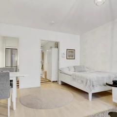 Rovaniemi City Suite