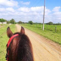 Alquiler de caballos y cabalgatas por el Atlántico