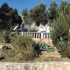 Apartment Anchi