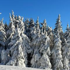 Berghütte, Chalet - Schwarzenberg am Böhmerwald